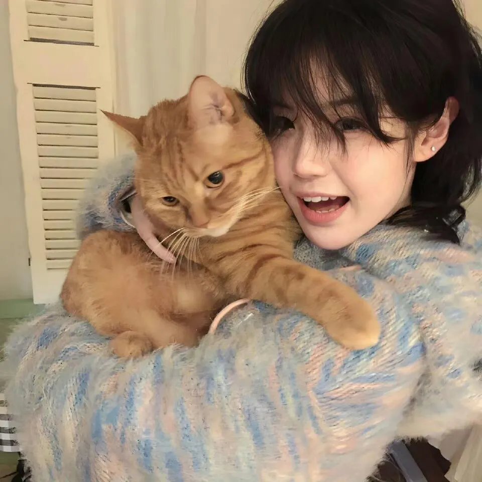 了不起的维克多·赫伯特